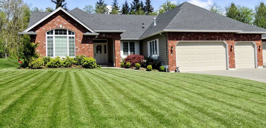 Lawn care by LD Lifestyles LLC.