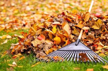 Fall Clean Up services in Siesta Key, Florida