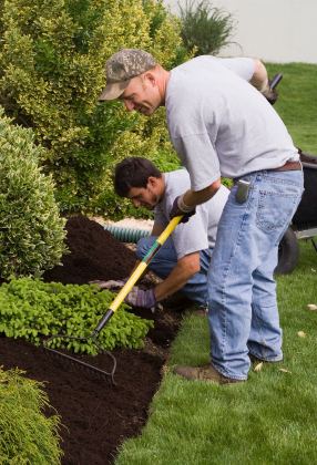 Spring cleanup in Port Charlotte, FL by LD Lifestyles LLC.