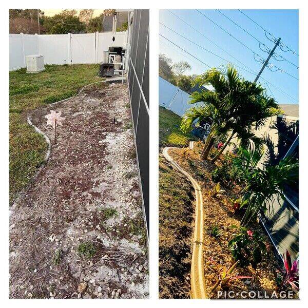 Before & After Landscape Renovation in Sarasota, FL (1)